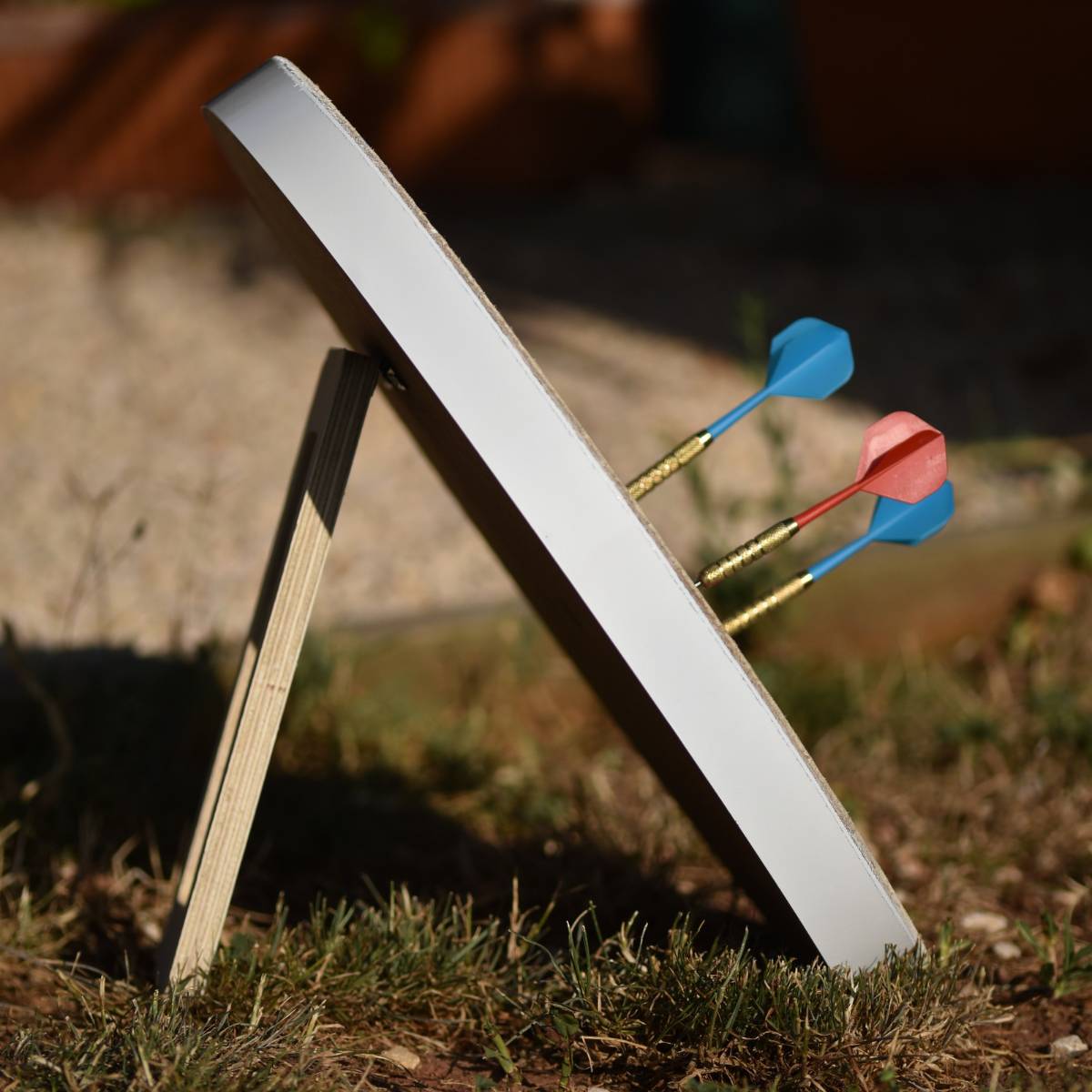 Cible de Flétanque avec 6 fléchettes